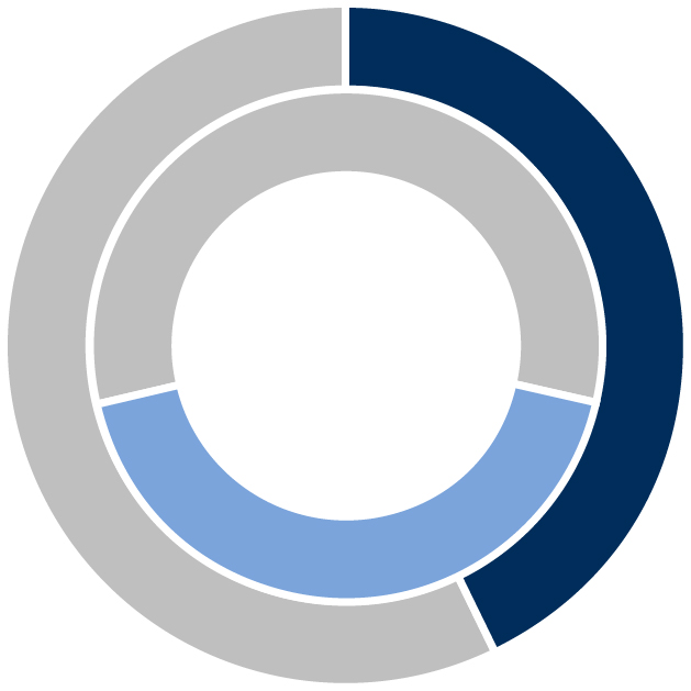 03 PRO013308_piechart_diversity_diversity.jpg